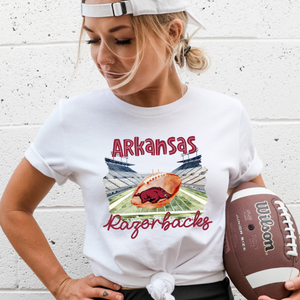 Arkansas Razorbacks Football DTF transfer